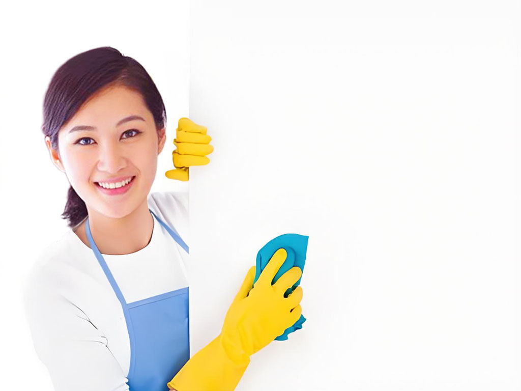 Cleaning Services