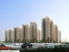 大连金广建设集团
